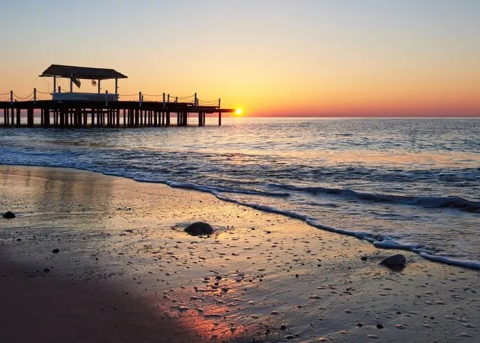 Florida Viagem, A presença de muitos tubarões na Flórida pode ser explicada por vários fatores, tanto ambientais quanto ecológicos. 

Aqui estão algumas das razões principais:

Localização Geográfica e Clima

A Flórida está localizada em uma região subtropical, com águas quentes que são ideais para muitas espécies de tubarões. As águas quentes do Golfo do México e do Oceano Atlântico fornecem um habitat adequado para a reprodução e alimentação dos tubarões.

Diversidade de Habitats Marinhos

A Flórida possui uma vasta gama de habitats marinhos, incluindo recifes de corais, manguezais, estuários e praias, que oferecem abrigo e uma abundância de presas para os tubarões.

Correntes Oceânicas

As correntes oceânicas, como a Corrente do Golfo, transportam nutrientes e presas, atraindo tubarões para as águas costeiras da Flórida. Essas correntes também ajudam na migração de tubarões de outras regiões., Passagem Flórida, Trabalho na Fórida, em, Viagens e Turismo