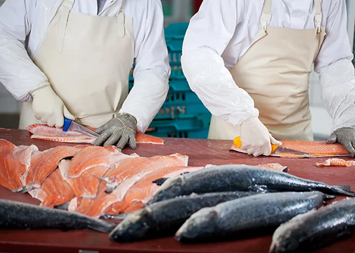 Auxiliar o peixeiro em atividades diárias visando atender as demandas da peixaria.

Responsabilidades e atribuições
• Auxiliar o peixeiro em atividades diárias visando atender as demandas da peixaria;

• Preparar peixes para venda utilizando diversos processos e operar câmara fria para armazenar e conservá-los;

• Realizar atendimento de clientes e orientar quanto à preparação e escolha de peixes;

• Auxiliar no tratamento adequado para cada tipo de peixe, realizar manipulação e limpeza de pescados e seguir procedimentos técnicos e de higiene;

• Realizar atividades correlatas pedido do superior imediato.

Requisitos e qualificações
• Ensino médio completo.
• Disponibilidade para jornada de trabalho 6×1

Informações adicionais

Benefícios oferecidos pela empresa:
• Vale Transporte
• Plano de Saúde
• Plano Odontológico
• Seguro de vida
• Refeição no local
, Fiscal de prevenção de perdas, Fiscal de caixa  e Encarregado de açougue, em, Brasil