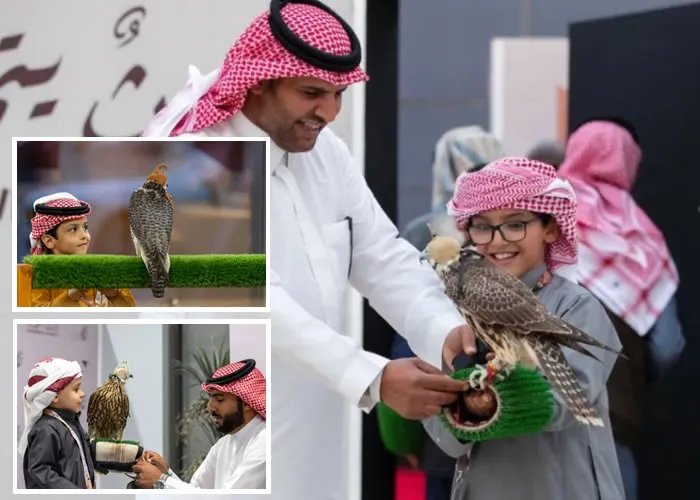 O Saudi Falcon Club organizou duas metades da competição Al-Malwah para futuros falcoeiros, no âmbito do King Abdulaziz Falconry Festival na sua quinta edição, na sede do clube em Mulham (norte de Riad), no âmbito de incentivar os jovens a praticar a passatempo de cuidar e organizar falcões, e transmitir o legado antigo e renovado para as gerações futuras e aprimorar suas habilidades na competição Al-Melwah.

Nas duas metades participaram 55 falcoeiros, como falcoeiros sauditas que não atingiram a idade de quinze anos, e o clube atribuiu-lhes prémios financeiros no valor total de 100 mil riais, distribuídos por 20 vencedores.

Fahd bin Barghash Al Mansouri com seu falcão (Tariq) venceu o primeiro tempo, alcançando o tempo de 20,029 segundos, Maadi bin Badr Al-Ajmi ficou em segundo lugar e Ibrahim bin Abdullah Al-Buainain em terceiro.

Al-Mansoori voltou a conquistar o primeiro lugar na segunda parte, que foi atribuída à categoria Qarnas (Qarmousha Gear, Gear Tabaa, Shaheen, Mathlouth Hur), durante 17.804 segundos com o Falcon (Salami), seguido de Mutlaq bin Fahd Al- Dosari e Abdullah bin Thaqel Al-Dosari., Praia de Essaouira, Roteiros Dubai E Egito e Cruzeiros Pelo Rio Nilo, em, Brasil