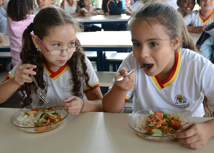 Receita Alimentação Escolar