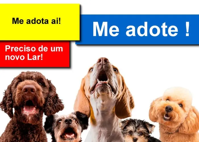 Aqui estão algumas maneiras de simplificar o processo de doação:


Divulgação online

Use as mídias sociais e sites de adoção de animais para criar perfis detalhados para os animais disponíveis para adoção. Inclua fotos de qualidade, informações sobre a personalidade do animal, histórico médico e requisitos de cuidados.

Parcerias com abrigos e ONGs

Trabalhe em parceria com abrigos locais, organizações não governamentais de proteção animal e grupos de resgate. Isso pode ajudar a aumentar a visibilidade dos animais disponíveis para adoção.

Eventos de adoção

Organize eventos de adoção em locais de alta visibilidade, como pet shops, feiras de animais de estimação e parques. Isso permite que as pessoas conheçam os animais em um ambiente descontraído.

Criação de uma rede de apoio

Construa uma rede de voluntários e apoiadores dispostos a ajudar com o processo de adoção, cuidados temporários e divulgação.

Facilidade no processo de candidatura

Torne o processo de adoção o mais simples possível, mas ainda informativo. Ofereça um formulário de candidatura online que inclua perguntas sobre o ambiente em que o animal viverá, o histórico de cuidados com animais de estimação e o compromisso do adotante.

Aconselhamento pós-adoção

Ofereça apoio pós-adoção para ajudar os novos tutores a se adaptarem aos seus novos animais de estimação. Isso pode incluir recursos para treinamento, informações de cuidados e orientação sobre questões comportamentais.

, Melhor ração, PETSHOP 24 horas e Clinica Veterinária , em, Brasil