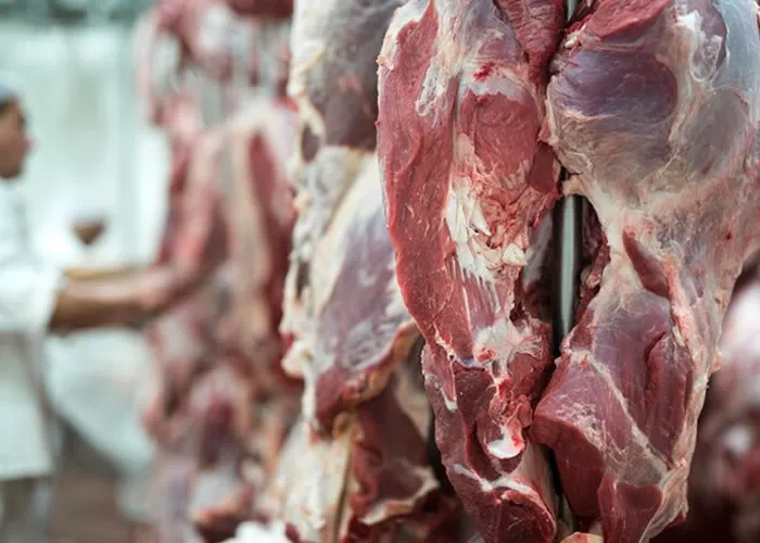 Economia, Em outubro, um estudo revelou que os preços da carne subiram consideravelmente em todo o Brasil. A pesquisa apontou dois principais fatores para esse aumento: os efeitos das mudanças climáticas e a inflação econômica., Alimentação, Carne bovina, em, Economia