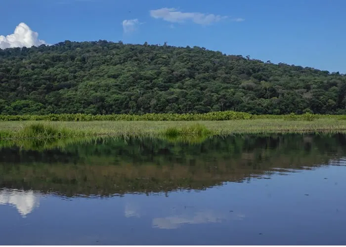 Preservação do Pirarucu, O pirarucu ( Arapaima gigas), conhecido como um dos maiores peixes de água doce do mundo, é um verdadeiro tesouro da biodiversidade amazônica. Contudo, a espécie está ameaçada pela pesca predatória e pela degradação de seu habitat natural.  Na região Amazônica existe muitas pessoas que lutam e que fazem de tudo pela preservação da espécie. , Sustentabilidade na Amazônia, , em, Viagens e Turismo